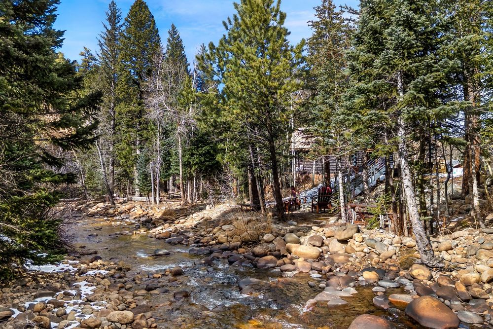 Aspens and ponderosa pines on the property