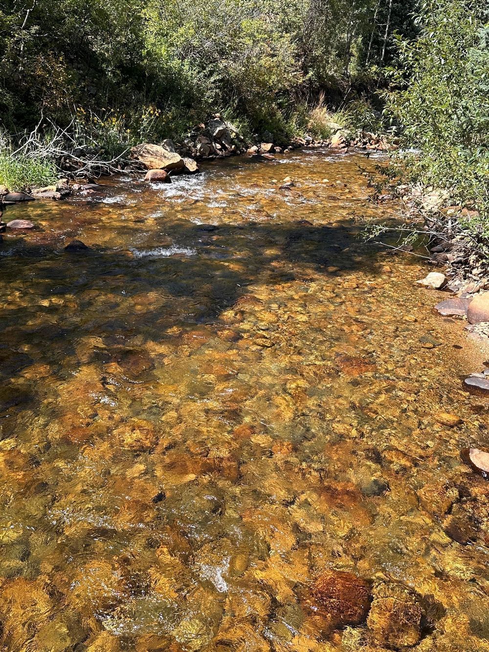 The St. Vrain running clear over granite boulders