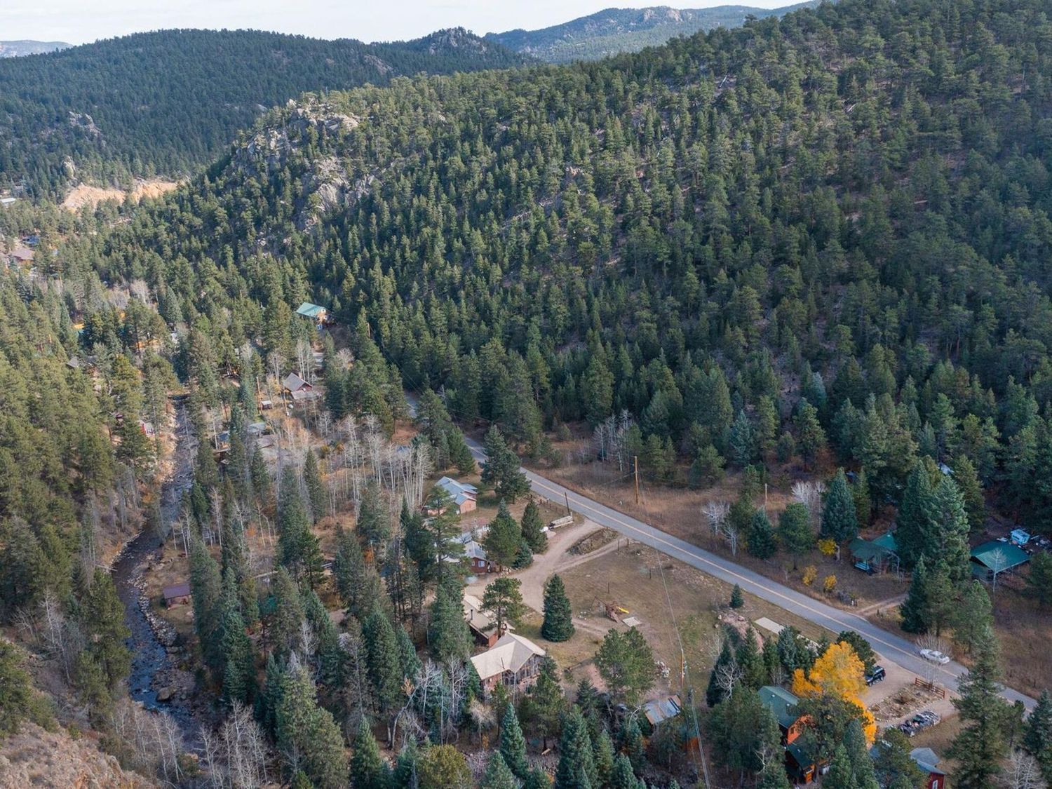 Aspen and pine slopes rising above the canyon