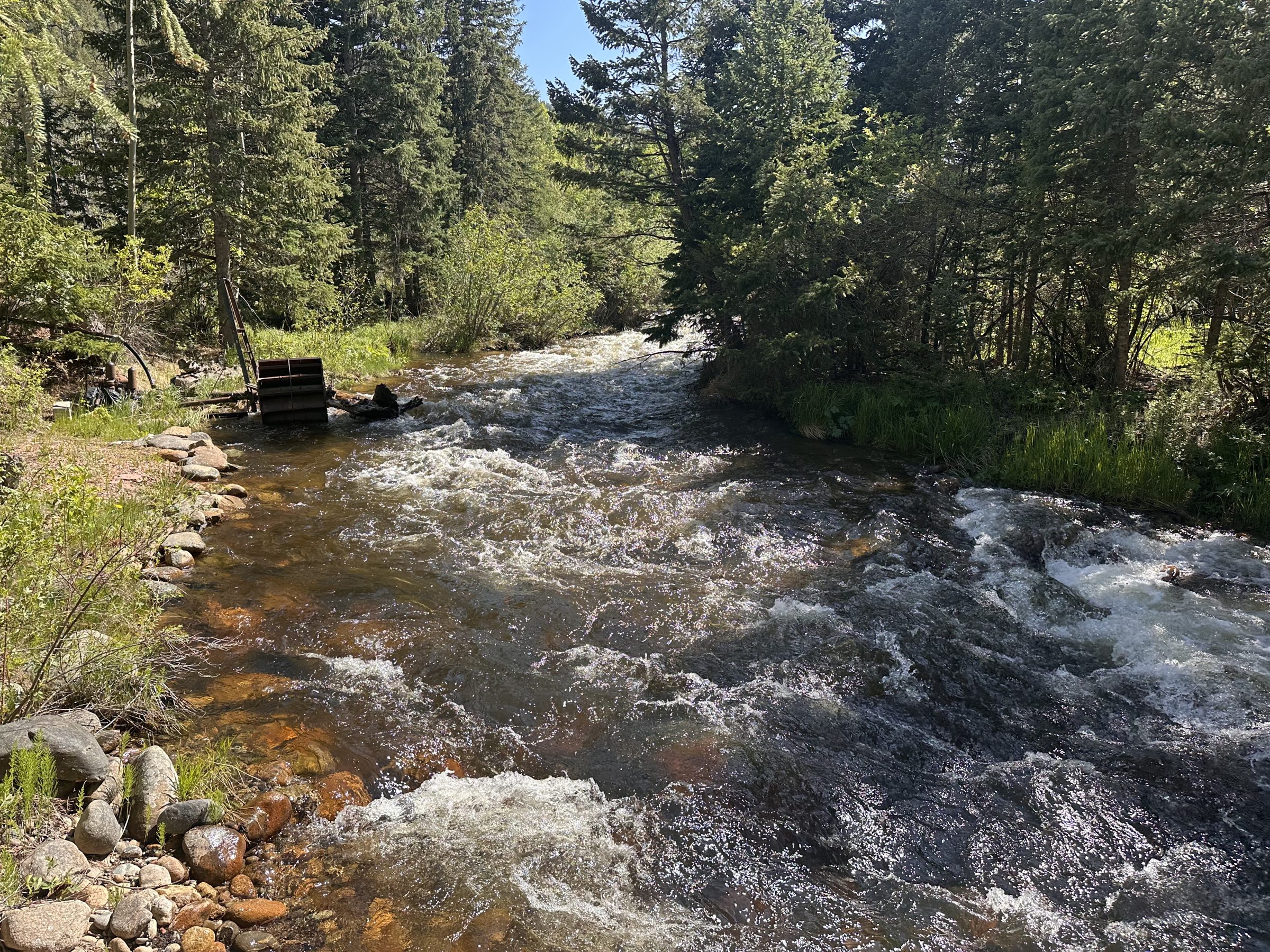 The Middle St. Vrain running through green pines and aspens at the camp