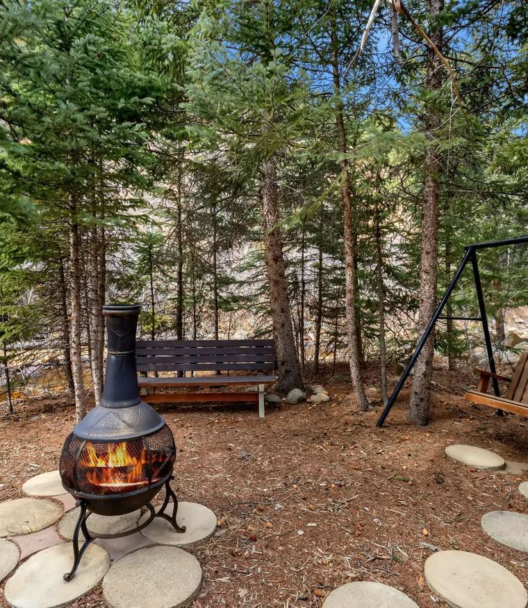 Aspens and pines on the property